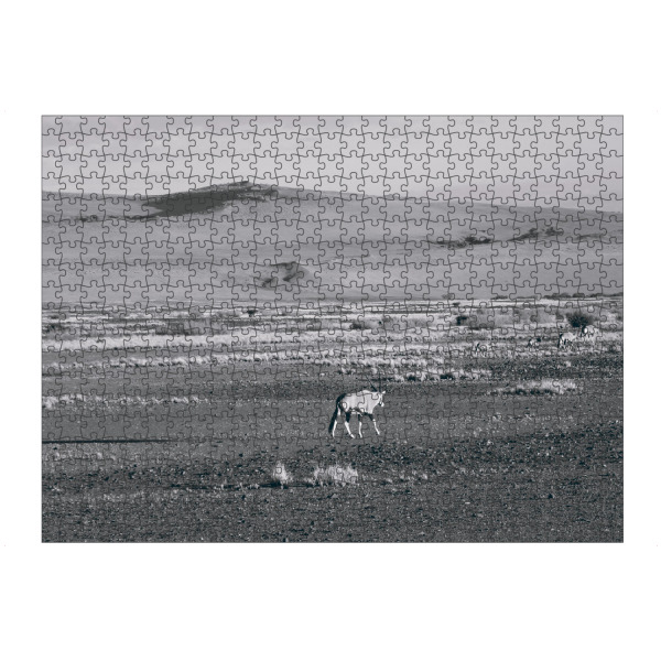 Puzzle Ravensburger "Oryx in der Wüste" artboxONE - Natur,Tiere,Schwarzweiß,Reise / Afrika,Reise / Länder