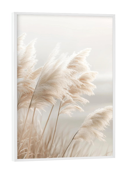 Poster mit weißem Rahmen "Malerisches Pampasgras" artboxONE - Natur,Reise / Strand und Meer