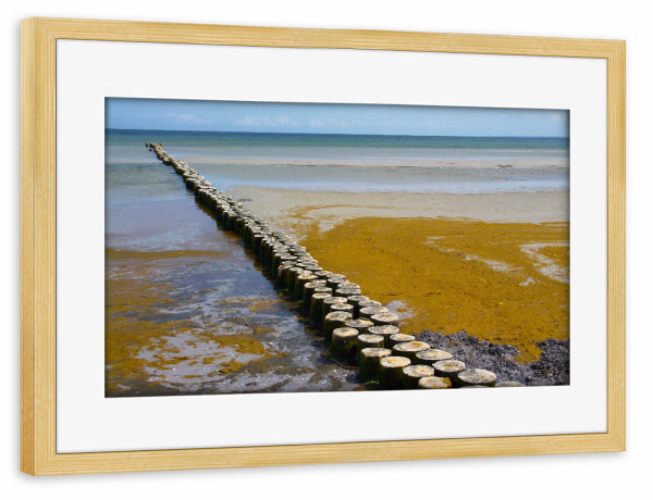 Poster mit Rahmen kiefer "An der schönen Ostsee" artboxONE - Natur,Reise,Reise / Strand und Meer,Reise / Länder