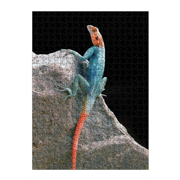 artboxONE Puzzle "Regenbogenagame" artboxONE - Natur,Reise,Tiere,Reise / Afrika