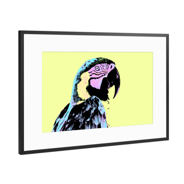 Poster mit Rahmen Schwarz (Metallic) "Parrot Pop Art" artboxONE - Reise,Tiere,Reise / Länder