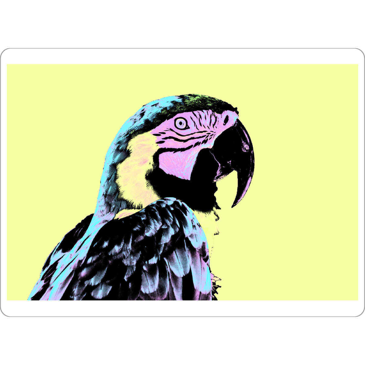 Tischset "Parrot Pop Art" artboxONE - Reise,Tiere,Reise / Länder