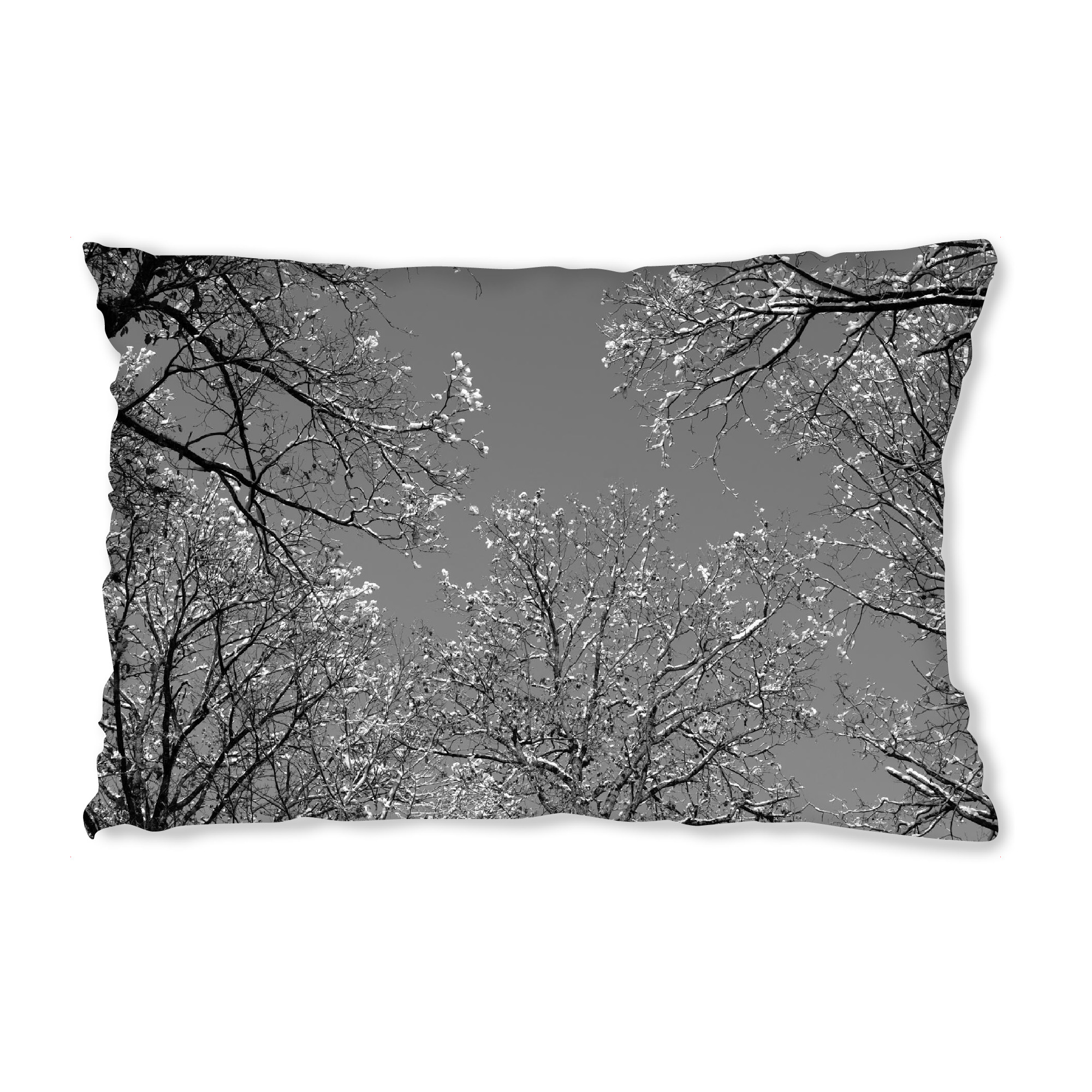 Design-Kissen "Winterhimmel Bäume sw" artboxONE - Natur,Schwarzweiß