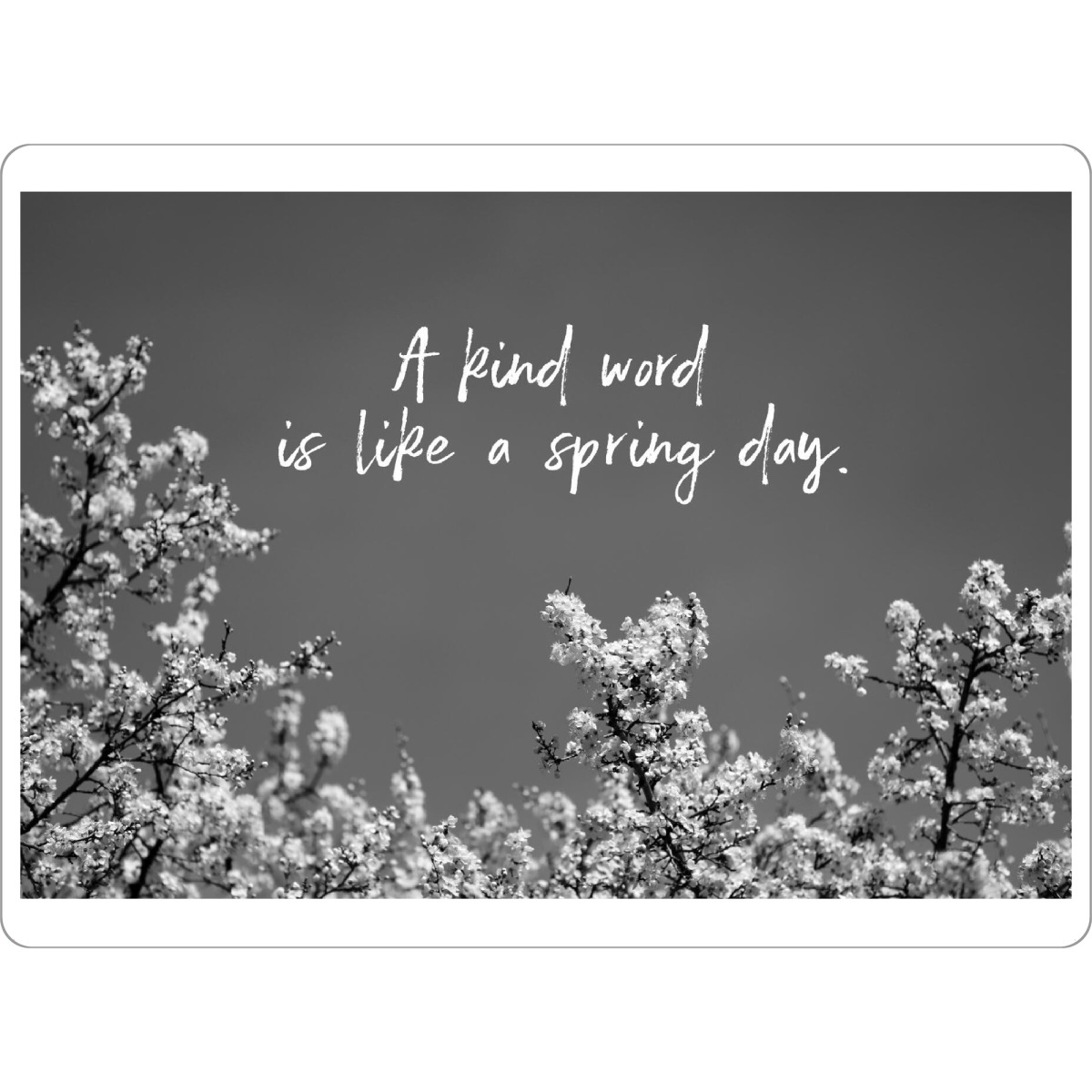 Tischset "Frühlingstag schwarz-weiß" artboxONE - Typografie,Natur,Floral,Schwarzweiß