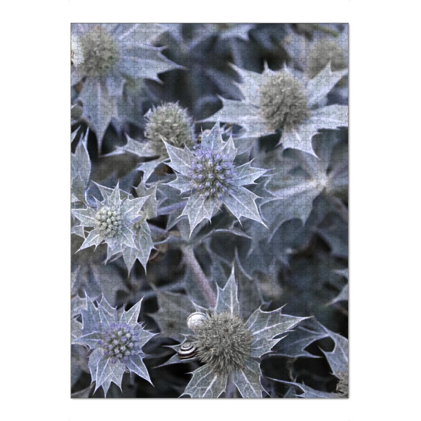 Puzzle Ravensburger "Helle Distelblumen Schönheit" artboxONE - Natur,Floral,Für Mama