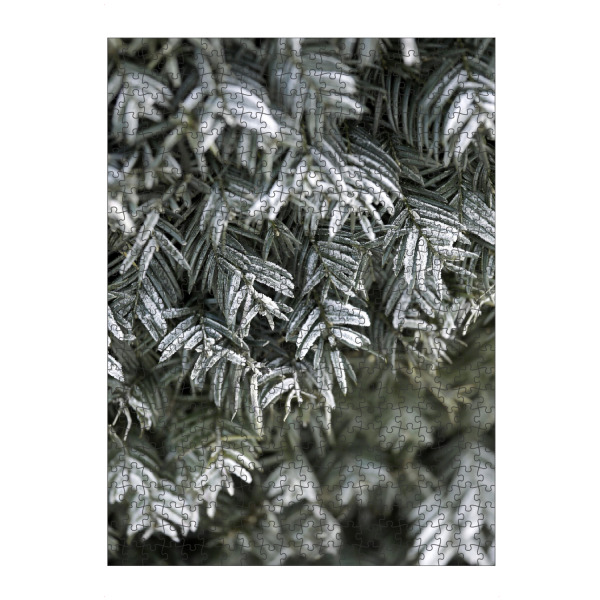 Puzzle Ravensburger "Grüne Winterzweige mit Schnee" artboxONE - Natur,Floral,Weihnachten