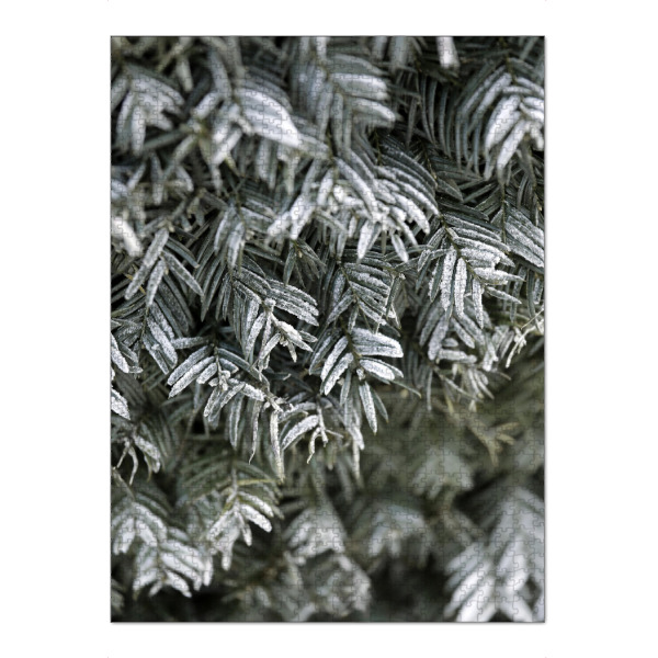 Puzzle Ravensburger "Grüne Winterzweige mit Schnee" artboxONE - Natur,Floral,Weihnachten