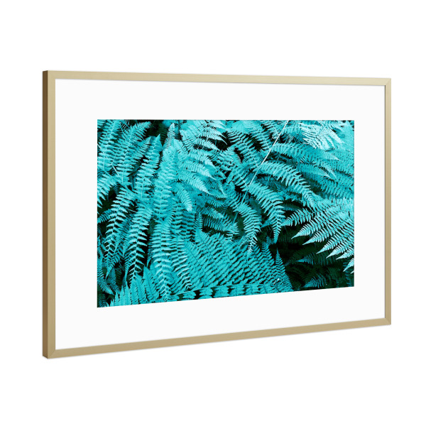 Poster mit Rahmen Gold "Türkiser Farn" artboxONE - Natur,Floral