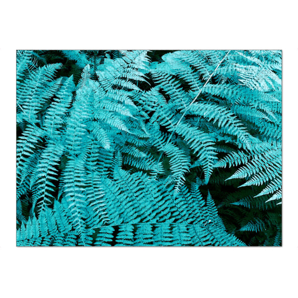 Puzzle Ravensburger "Türkiser Farn" artboxONE - Natur,Floral