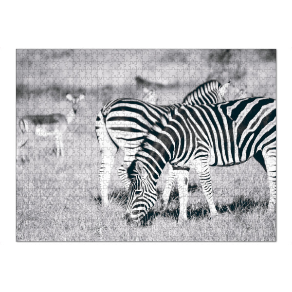 Puzzle Ravensburger "Zebras und Impalas" artboxONE - Natur,Reise,Tiere,Schwarzweiß,Reise / Afrika