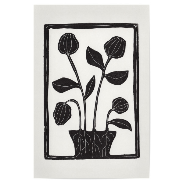 Poster 30x20 cm "Galitsyna - Floral Serenity" artboxONE - Natur,Floral,Abstrakt