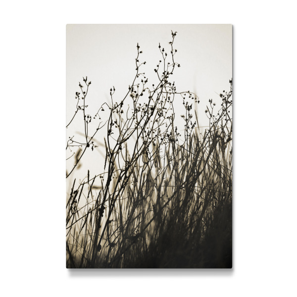 Galerie-Print "Pflanzen Minimalismus Sepia" 30x20 cm artboxONE