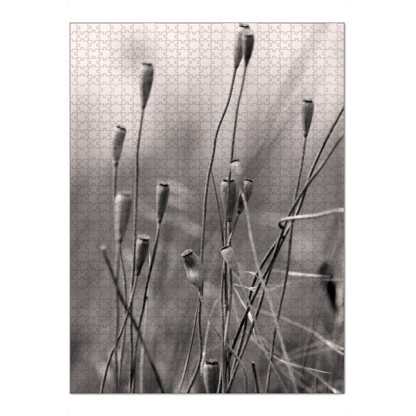 Puzzle Ravensburger "Samenkapseln im Wind sw" artboxONE - Natur,Floral,Schwarzweiß
