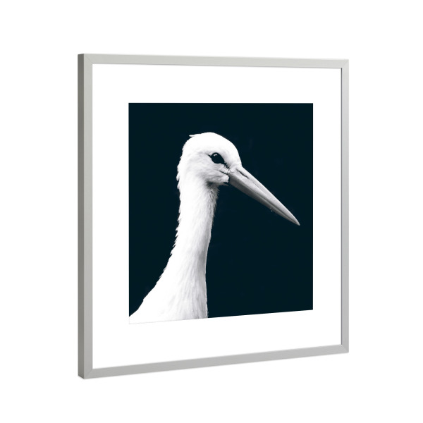 Poster mit Rahmen Silber "Ein Klapperstorch" artboxONE - Natur,Reise,Tiere,Schwarzweiß
