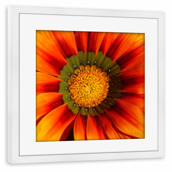 Poster mit Rahmen weiß "Orange Blüte" artboxONE - Floral,Für Mama