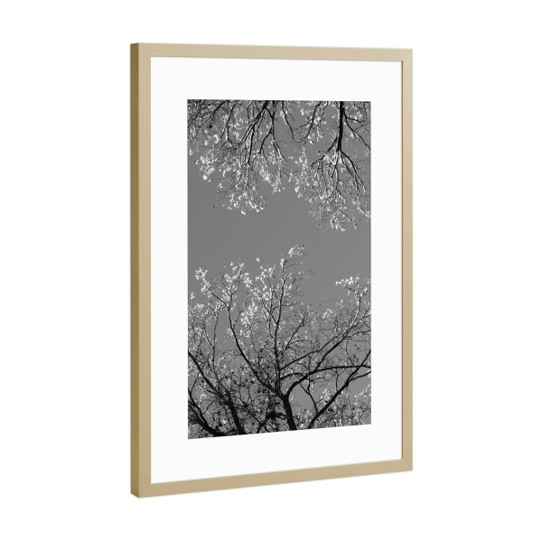 Poster mit Rahmen Gold "Winterlandschaft Bäume sw" artboxONE - Natur,Schwarzweiß,Weihnachten