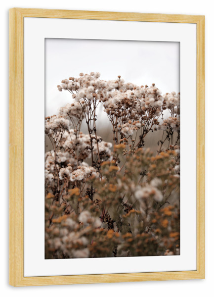 Poster mit Rahmen kiefer "Wildpflanzen Naturtöne Beige" artboxONE - Natur,Floral