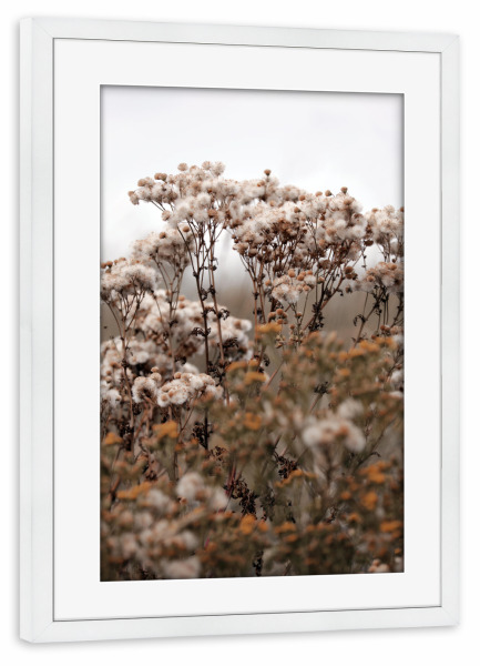 Poster mit Rahmen weiß "Wildpflanzen Naturtöne Beige" artboxONE - Natur,Floral