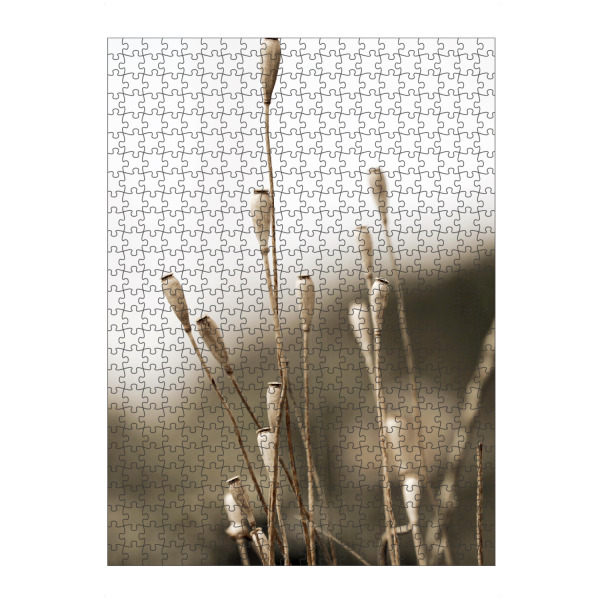 Puzzle Ravensburger "Samenkapseln Naturtöne Beige" artboxONE - Natur,Floral,Schwarzweiß