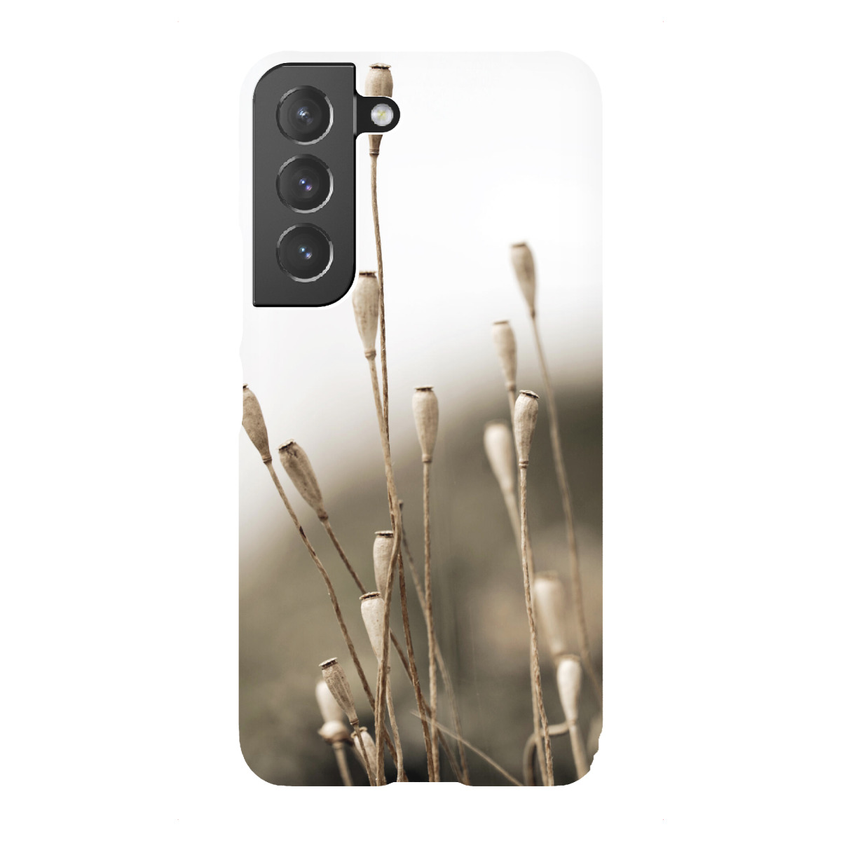 Samsung Galaxy "Samenkapseln Naturtöne Beige" Premium-Case Handyhülle artboxONE