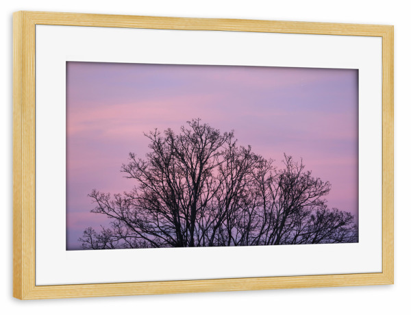 Poster mit Rahmen kiefer "Pastellfarben Himmel mit Baum" artboxONE - Natur,Ultraviolet