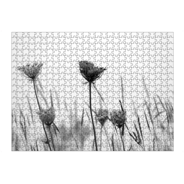 artboxONE Puzzle "Wildblumen im Wind" artboxONE - Natur,Floral,Schwarzweiß
