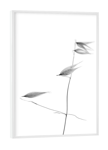 Poster mit weißem Rahmen "Aus aktuellem Anlass (4)" artboxONE - Natur,Floral,Für Kinder,Für Mama,Für Papa