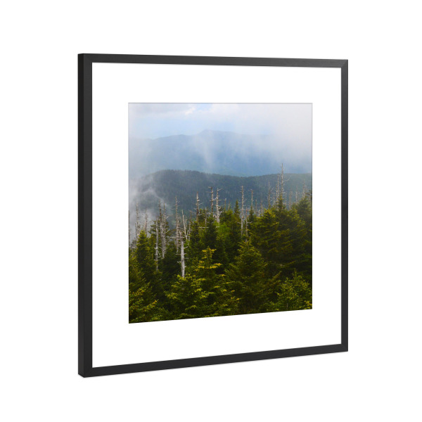 Poster mit Rahmen Schwarz (Metallic) "Smokies Triptychon middle part" artboxONE - Natur,Reise,Reise / Länder