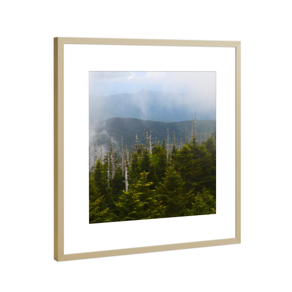 Poster mit Rahmen Gold "Smokies Triptychon middle part" artboxONE - Natur,Reise,Reise / Länder