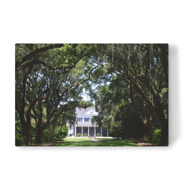 Leinwandbild "Plantation at South Carolina" artboxONE - Natur,Reise,Architektur,Reise / Länder