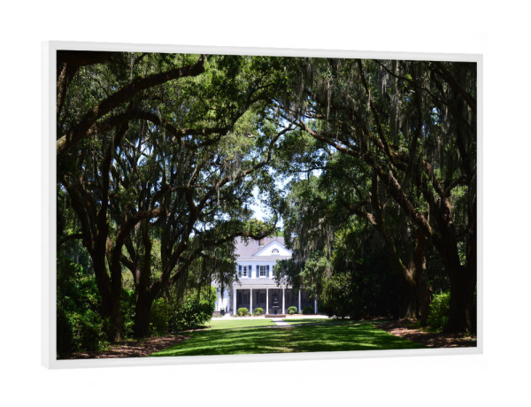 Poster mit weißem Rahmen "Plantation at South Carolina" artboxONE - Natur,Reise,Architektur,Reise / Länder