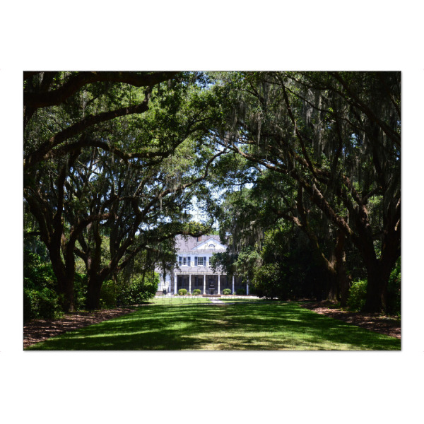 Puzzle Ravensburger "Plantation at South Carolina" artboxONE - Natur,Reise,Architektur,Reise / Länder