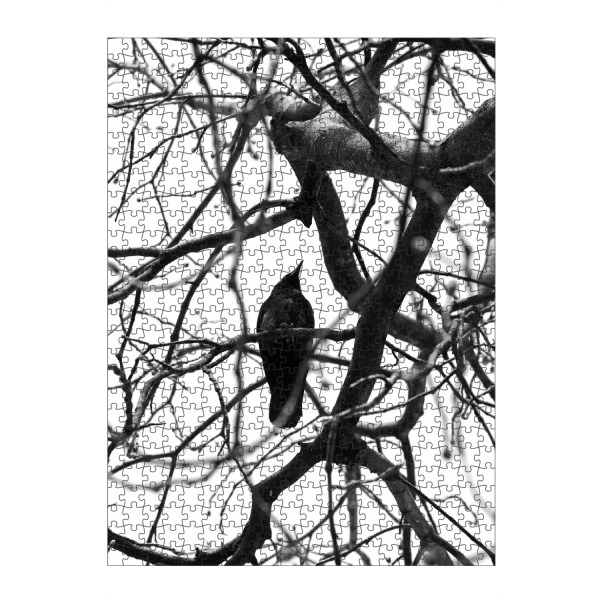 Puzzle Ravensburger "Schwarzer Vogel black & white" artboxONE - Tiere,Schwarzweiß
