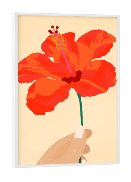 Poster mit weißem Rahmen "Hibiskus-Zuneigung" artboxONE - Natur,Floral
