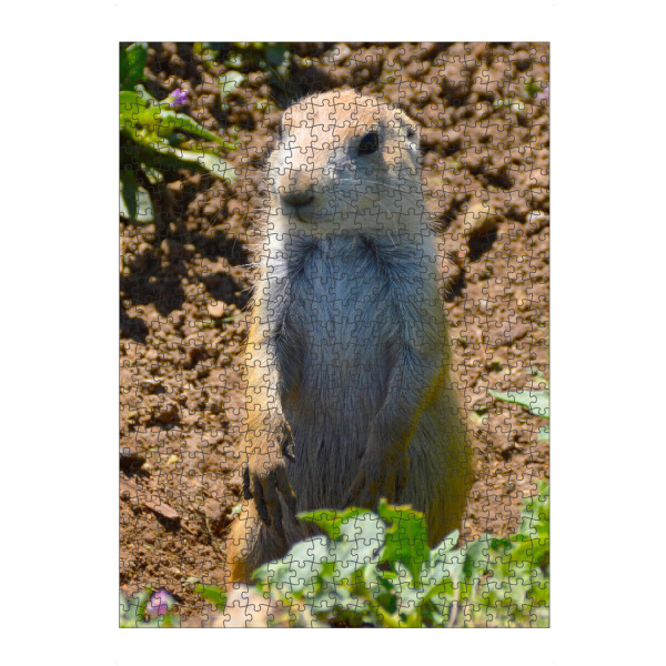 Puzzle Ravensburger "Präriehund I" artboxONE - Natur,Reise,Tiere,Reise / Länder