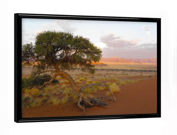Poster mit schwarzem Rahmen "Die afrikanische Namibwüste" artboxONE - Natur,Reise,Reise / Afrika,Reise / Länder