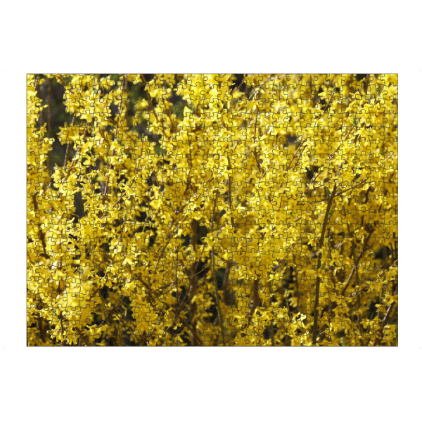 Puzzle Ravensburger "Gelbe Blütenpracht im Frühling" artboxONE - Natur,Floral