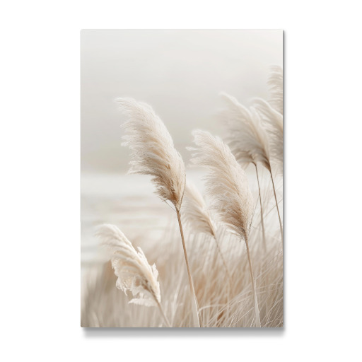 Pampas grass idyll