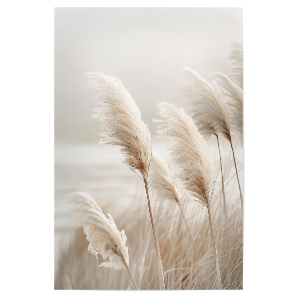 Poster 30x20 cm "Poesie am Meer - Pampasgras Idyll" artboxONE - Natur,Reise / Strand und Meer