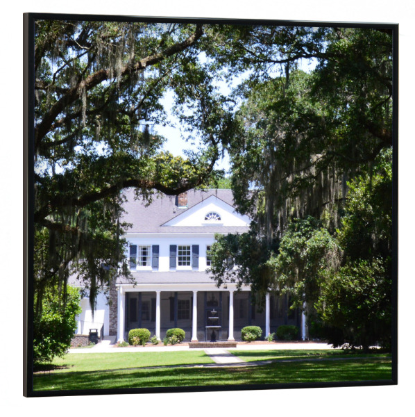 Poster mit schwarzem Rahmen 30x30 cm "Plantation Triptychon middle part" artboxONE - Natur,Reise,Architektur,Reise / Länder