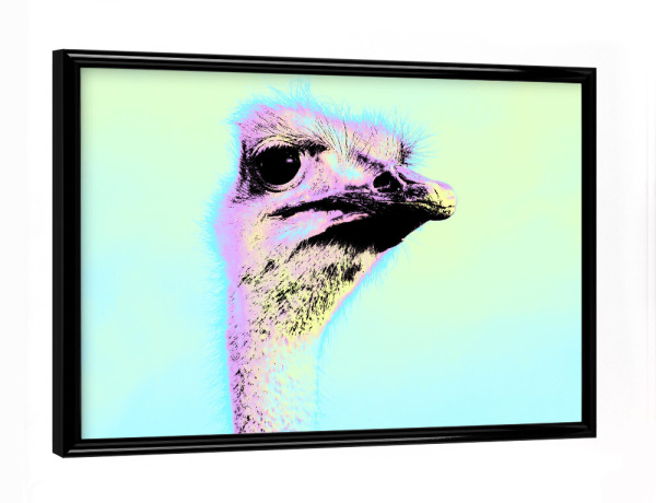 Poster mit schwarzem Rahmen "Strauss Pop Art" artboxONE - Reise,Tiere,Reise / Afrika,Reise / Länder