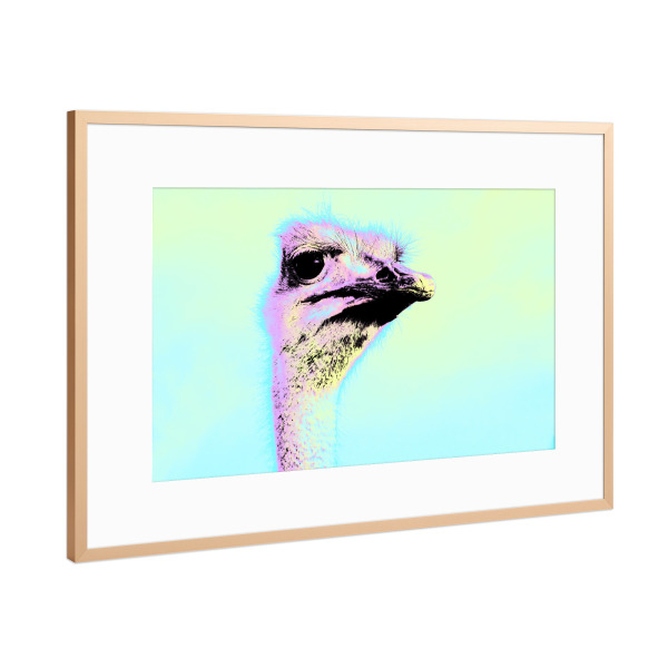 Poster mit Rahmen Kupfer "Strauss Pop Art" artboxONE - Reise,Tiere,Reise / Afrika,Reise / Länder