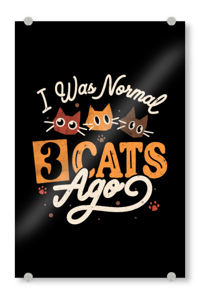 Acrylglasbild "Vor 3 Katzen war ich normal" artboxONE - Typografie,Tiere