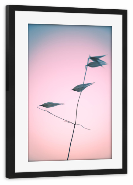 Poster mit Rahmen schwarz "Aus aktuellem Anlass (5)" artboxONE - Natur,Floral,Für Kinder,Für Mama,Für Papa