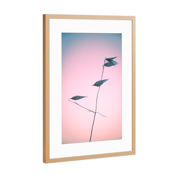 Poster mit Rahmen Kupfer "Aus aktuellem Anlass (5)" artboxONE - Natur,Floral,Für Kinder,Für Mama,Für Papa