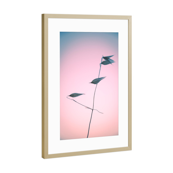 Poster mit Rahmen Gold "Aus aktuellem Anlass (5)" artboxONE - Natur,Floral,Für Kinder,Für Mama,Für Papa
