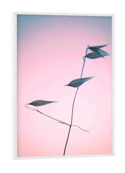 Poster mit weißem Rahmen "Aus aktuellem Anlass (5)" artboxONE - Natur,Floral,Für Kinder,Für Mama,Für Papa