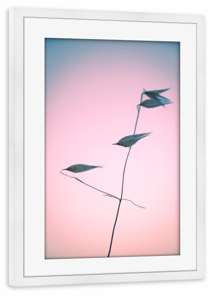 Poster mit Rahmen weiß "Aus aktuellem Anlass (5)" artboxONE - Natur,Floral,Für Kinder,Für Mama,Für Papa