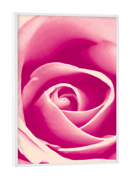 Poster mit weißem Rahmen "Beautiful Rose" artboxONE - Natur,Floral