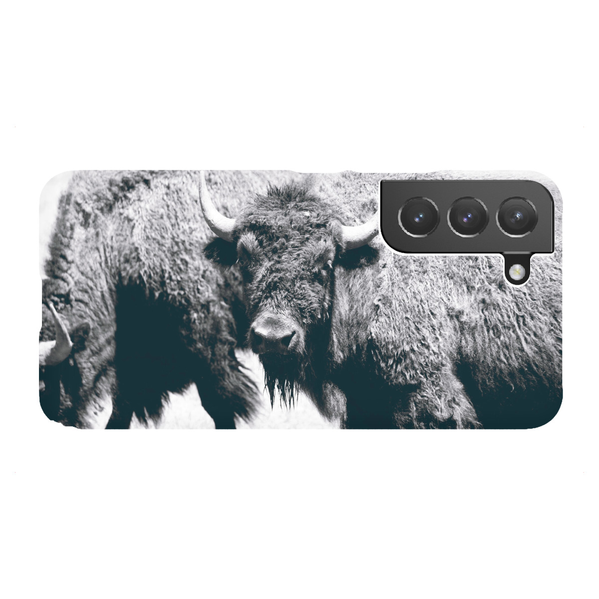 Samsung Galaxy "Bisons in der Prärie" Premium-Case Handyhülle artboxONE